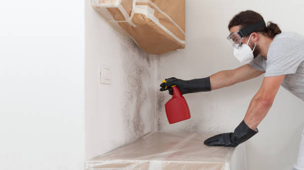 Professional Attic Mold Remediation technician working in Plainsboro, NJ