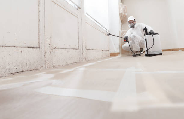 24/7 Emergency Attic Mold Remediation experts in Plainsboro, NJ